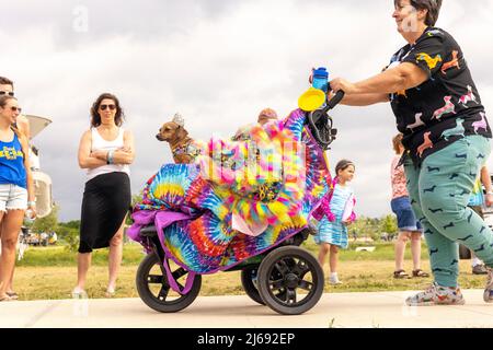 Buda, Texas 2022 Wiener Dog Festival Banque D'Images