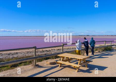 Salin-de-Giraud, Arles, Bouches-du-Rhône, Provence-Alpes-Côte d'Azur, France, Méditerranée, Europe Banque D'Images