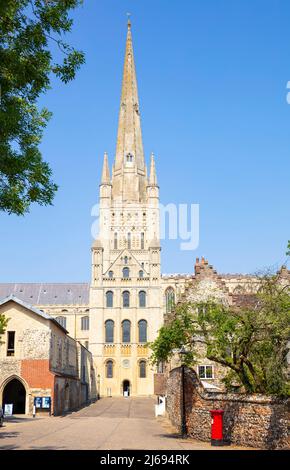 The Close, Norwich Cathedral and spire from the Cathedral Close, Norwich, Norfolk, East Anglia, Angleterre, Royaume-Uni Banque D'Images