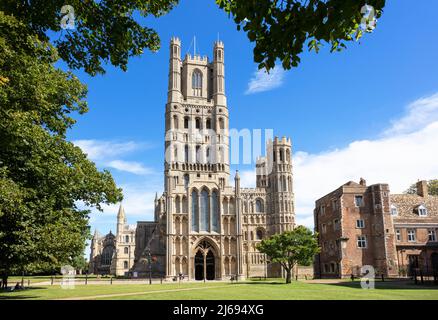 Cathédrale d'Ely (cathédrale de la Sainte-Trinité et de la Trinité indivise) du Palais Green, Ely, Cambridgeshire, Angleterre, Royaume-Uni Banque D'Images