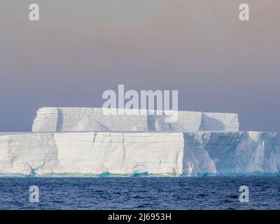 Icebergs tabulaires près de Brown Bluff, mer de Weddell, Antarctique, régions polaires Banque D'Images