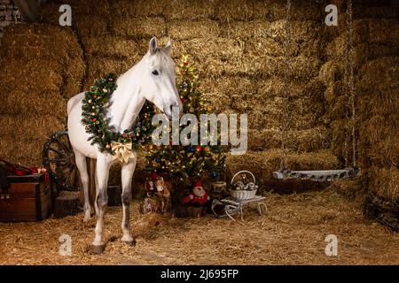 Décorations de Noël sur les écuries. Un beau cheval avec une couronne autour de son cou. Arbre de Noël avec ballons, zone photo pour le nouvel an. Banque D'Images