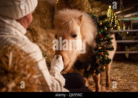 Décorations de Noël sur les écuries. Un magnifique poney avec une couronne autour de son cou. Arbre de Noël avec ballons, zone photo pour le nouvel an. Main de sniffs de poney Banque D'Images