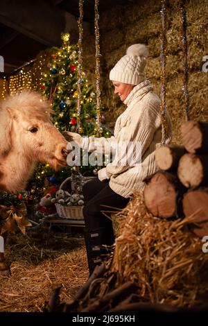 Décorations de Noël sur les écuries. Un magnifique poney avec une couronne autour de son cou. Arbre de Noël avec ballons, zone de photo pour le nouvel an. Femme senior assis sur l'oscillation Banque D'Images