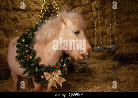 Décorations de Noël sur les écuries. Un magnifique poney avec une couronne autour de son cou. Arbre de Noël avec ballons, zone photo pour le nouvel an. Balancer avec des cloches Banque D'Images