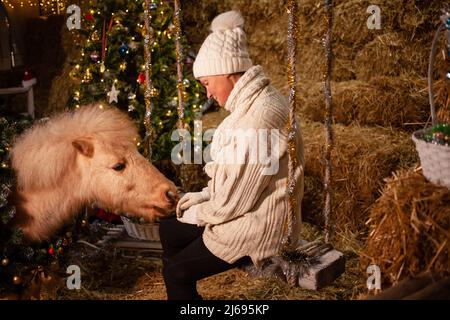 Décorations de Noël sur les écuries. Un magnifique poney avec une couronne autour de son cou. Arbre de Noël avec ballons, zone photo pour le nouvel an. Femme et cheval âgés Banque D'Images