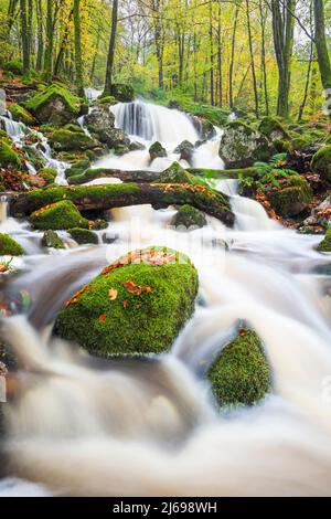 Chute d'eau dans les bois d'automne à côté du Loch Ken, Galloway Forest Park, Dumfries et Galloway, Écosse, Royaume-Uni, Europe Banque D'Images
