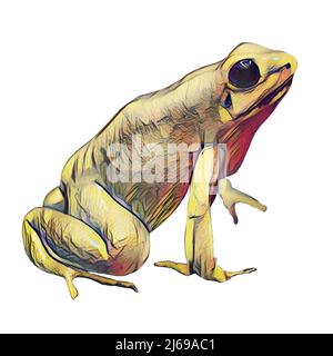 Grenouille assise sur fond blanc, clip art Banque D'Images