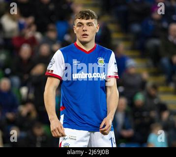 Ethan Devine, joueur de Linfield, a été montré en action lors d'un match de ligue qui s'est tenu à Windsor Park, Belfast. Banque D'Images