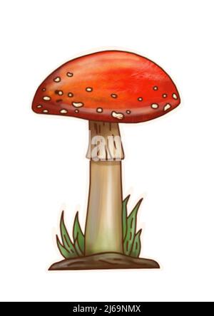 Dessiner des champignons à la main sur une falaise de fond blanche Banque D'Images