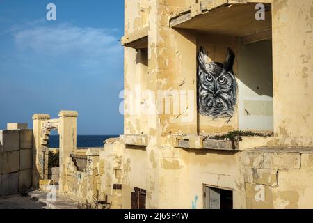 Un tableau d'un hibou à l'intérieur d'une des chambres de l'hôtel abandonné Jerma Palace, Marsaskala, Malte Banque D'Images