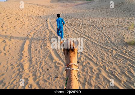 Caméléen conduisant un chameau, Camelus dromedarius, dans les dunes de sable du désert de Thar, Rajasthan, Inde. Point de vue touristique tout en étant assis à dos de chameau. Banque D'Images