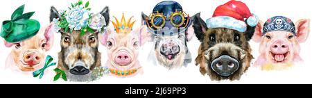 Bordure mignonne des portraits aquarelles de cochons. Illustration aquarelle de cochons dans une couronne de pivoines, chapeau de Père Noël, couronne dorée, bandana et melon avec Banque D'Images