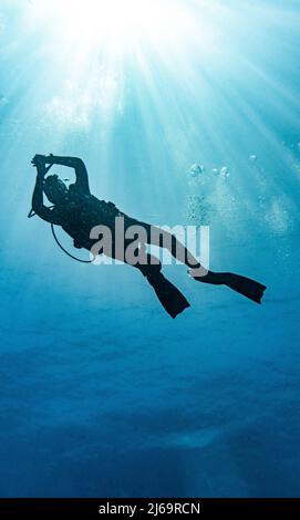 Plongeur explorant les eaux tropicales autour de Koh Tao en Thaïlande Banque D'Images