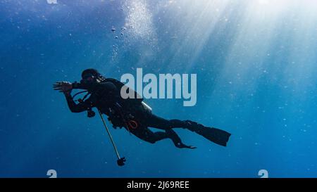 Plongeur explorant les eaux tropicales autour de Koh Tao en Thaïlande Banque D'Images