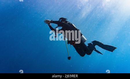 Plongeur explorant les eaux tropicales autour de Koh Tao en Thaïlande Banque D'Images