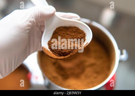 Champignon chaga. Champignon de chaga médicinal. Inonotus obliquus Banque D'Images