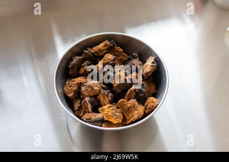 Poudre de champignons chaga en poudre. Champignon de chaga médicinal pour le bre Banque D'Images