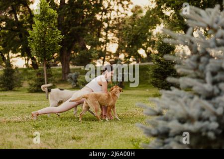 Jeune femme attrayante pratiquant le yoga. La femme caucasienne se tient dans l'exercice Lizard, Uttan Prishthasana pose, des trains dans les vêtements de sport, les chiens courent autour Banque D'Images