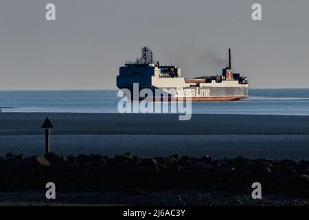 Heysham, Royaume-Uni 29th avril 2022, le M V Stenna Hibernian arrive au terminal de Heysham Ferry en fin de soirée Sunshine Credit: PN News/Alay Live News Banque D'Images