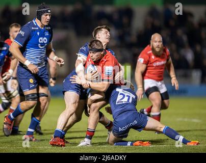 Vente, Royaume-Uni. 29th avril 2022. 29th avril 2022 ; AJ Bell Stadium, sale, Angleterre ; Gallagher Premiership rugby, Sale Sharks versus Newcastle Falcons: Jamie Blamire de Newcastle Falcons est abordé par Gus Warr de sale Sharks crédit: Action plus Sports Images/Alay Live News Banque D'Images