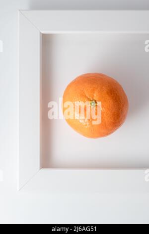 Composition aux agrumes orange sur fond blanc. Clementine sur blanc fin art. Mise au point sélective Banque D'Images