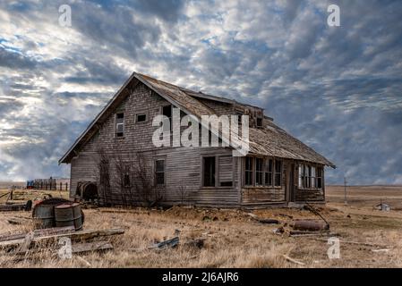 Ciel bleu au-dessus d'une ancienne maison abandonnée entourée de jonque dans les Prairies de la Saskatchewan Banque D'Images