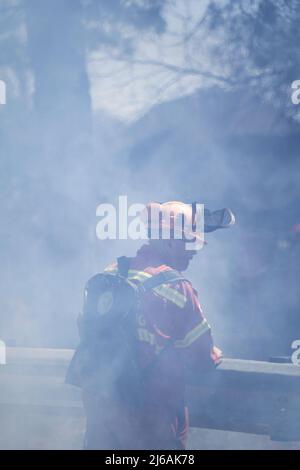 Ontario, Canada. 29th avril 2022. Le 29 avril 2022, Toronto, Ontario, Canada : les travailleurs forestiers de la ville de Toronto ont allumé une grande partie de High Park dans l'extrémité ouest de la ville vendredi après-midi. La combustion contrôlée est destinée à éliminer les plantes séchées qui inhibent la nouvelle croissance dans le parc. (Credit image: © Arlyn McAdorey/ZUMA Press Wire) Credit: ZUMA Press, Inc./Alamy Live News Banque D'Images