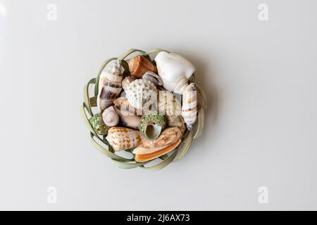 Coquillages dans un panier sur fond blanc isolé Banque D'Images