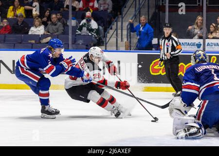 New York, États-Unis. 29th avril 2022. 29 avril 2022: Utica Comets avance Ryan Schmelzer (26) skate avec le palet dans la première période contre les Rochester Américains. Les Rochester Americans ont accueilli les Utica Comets dans un match de la Ligue américaine de hockey à la Blue Cross Arena de Rochester, New York. (Jonathan Tenca/CSM) crédit : CAL Sport Media/Alay Live News Banque D'Images