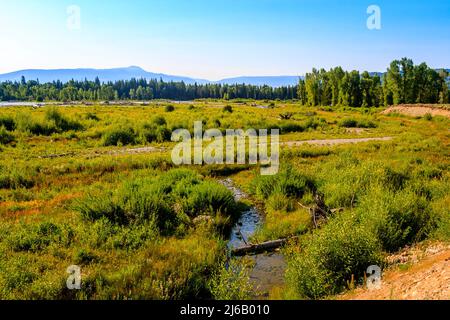 Vue sur le ranch Bar BC Dude depuis la rivière Snake dans le parc national de Grand Teton. Banque D'Images