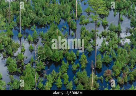 Bladen County, NC, 18 septembre 2018 -- vue aérienne des inondations de l'ouragan Florence. Banque D'Images
