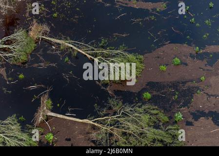 Bladen County, NC, 18 septembre 2018 -- vue aérienne des inondations de l'ouragan Florence. Banque D'Images