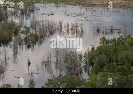 Bladen County, NC, 18 septembre 2018 -- vue aérienne des inondations de l'ouragan Florence. Banque D'Images