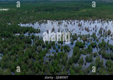 Bladen County, NC, 18 septembre 2018 -- vue aérienne des inondations de l'ouragan Florence. Banque D'Images