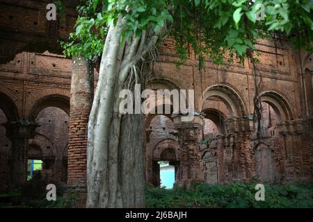 Les ruines d'un ancien palais construit par la dynastie Bhanj (Mayur/Peacock) à la périphérie de Tamluk au Bengale occidental, en Inde. Banque D'Images