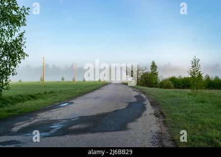 paysage de brouillard avec un virage de route vide, le long des bords des silhouettes d'arbre dans le brouillard Banque D'Images