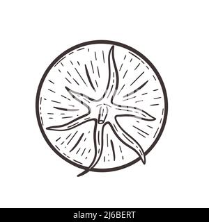 Illustration du vecteur de gravure à dessin manuel vue du dessus de la tomate. Dessin noir d'une seule tomate sur fond blanc. Légumes aliments biologiques sains Illustration de Vecteur