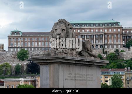 Le pont de la chaîne Széchenyi de Budapest, au-dessus du Danube, est orné de ses immenses lions de pierre placés en 1852 avant la restauration prévue en 2021. Banque D'Images