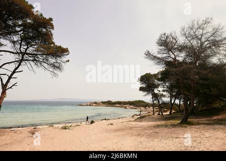 Vourvourou Beach Halkidiki Grèce Banque D'Images