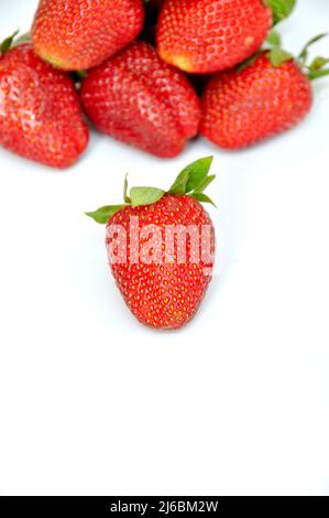 Les fraises les plus sucrées et les plus belles dans les baies rouges, isolées sur fond blanc Banque D'Images