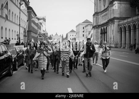 Environ 78 militants de l'opposition russes se sont réunis à Munich, en Allemagne, pour protester contre Vladimir Poutine et contre la guerre contre l'Ukraine. Un activiste déguisé en Vladimir Poutine comme prisonnier. (Photo par Alexander Pohl/Sipa USA) Banque D'Images