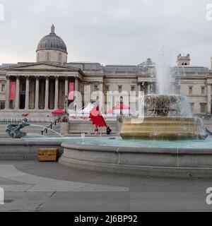 Londres, Grand Londres, Angleterre, 23 avril 2022 : les officiels commencent à se défricher après les célébrations de la Saint-Georges à Trafalgar Square. Banque D'Images