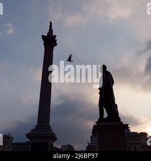 Silhouette de la statue de Sir Henry Havelock et de la colonne de Nelsons à Trafalgar Square, alors qu'un oiseau survole. Banque D'Images