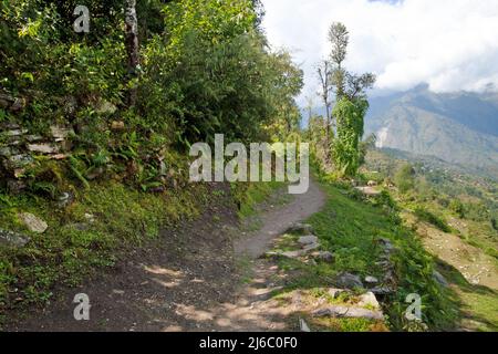 Chemin rural et des plantes vertes dans les montagnes avec ciel nuageux au Népal, Annapurna trekking Banque D'Images