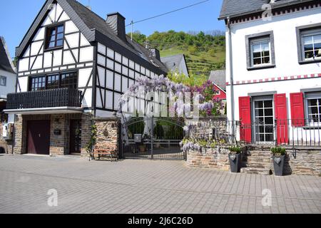 Front de mer à Hatzenport an der Mosel Banque D'Images