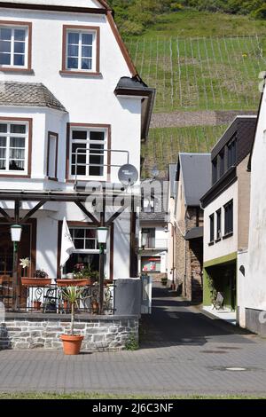 Front de mer à Hatzenport an der Mosel Banque D'Images