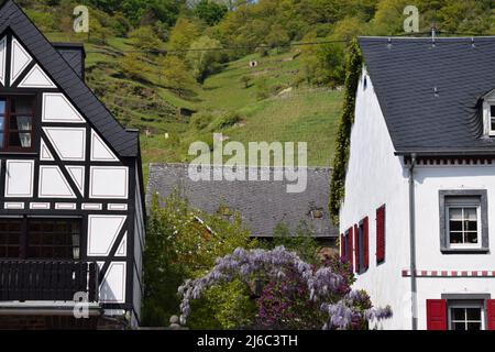 Front de mer à Hatzenport an der Mosel Banque D'Images
