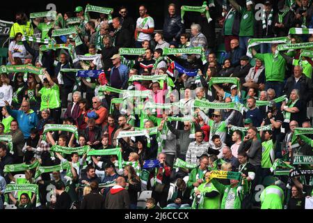 30 avril 2022, Basse-Saxe, Wolfsburg: Football, femmes: Champions League, VfL Wolfsburg - FC Barcelone, knockout round, demi-finales, deuxièmes jambes à Volkswagen Arena. Les fans de VfL Wolfsburg se tiennent dans le stade. Photo: Swen Pförtner/dpa Banque D'Images