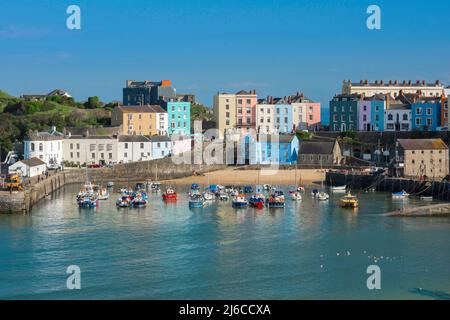 Tenby Pembrokeshire, vue en été du port coloré de Tenby, Pembrokeshire, pays de Galles, Royaume-Uni Banque D'Images